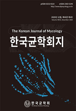 논문명