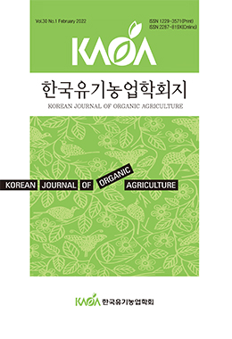 논문명