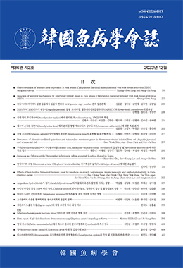 논문명